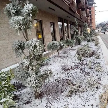 Kristal Kalman Zlatibor